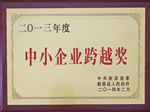 中小企业跨越奖